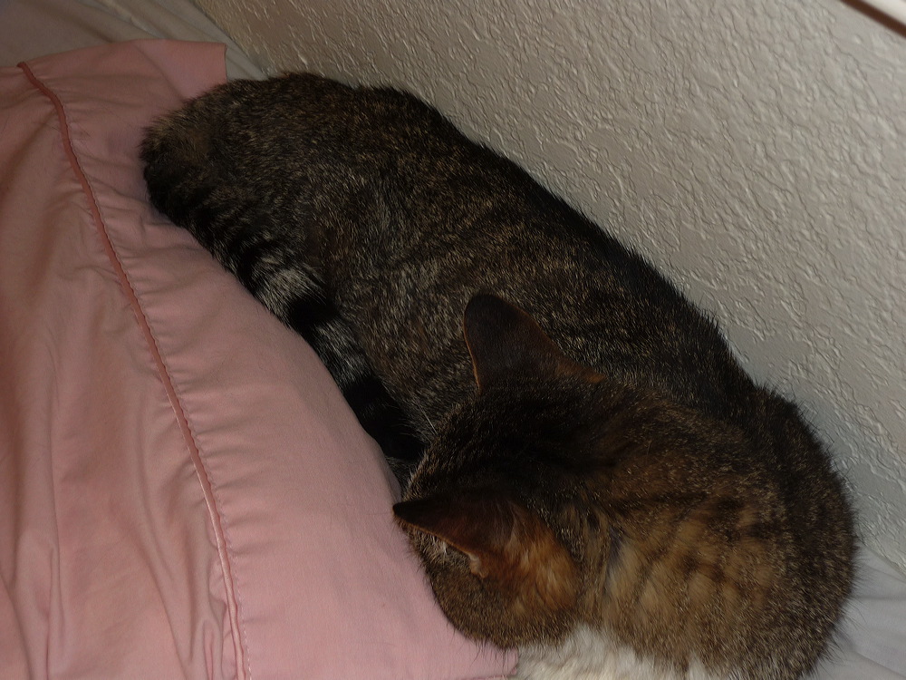 p1000072.jpg