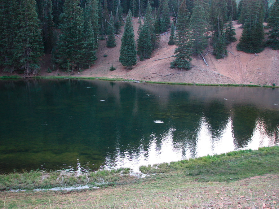 img_0303.jpg