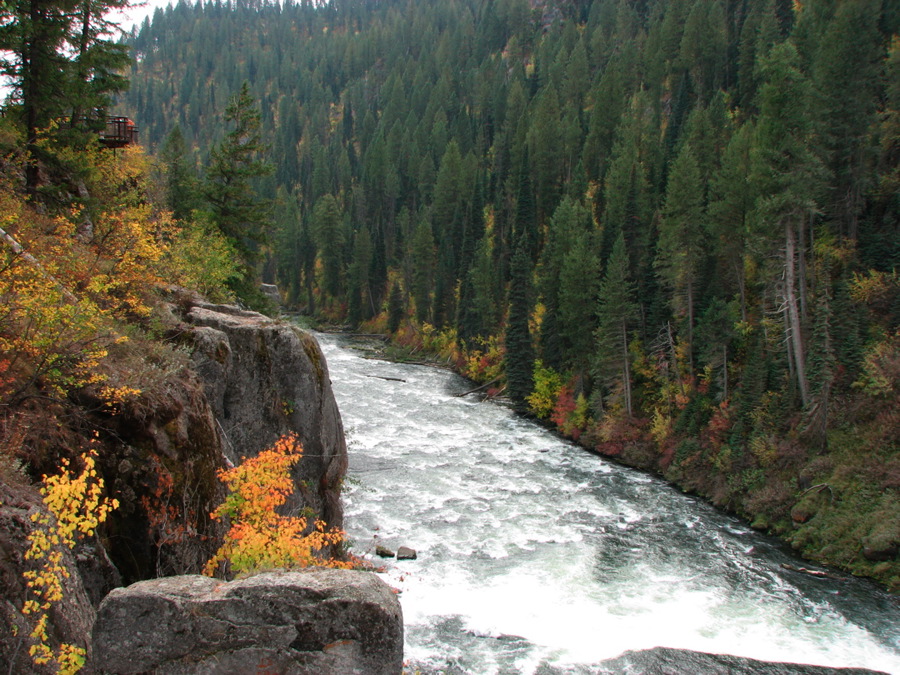 img_0320.jpg