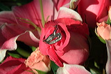 elizabeth_joe_130