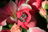elizabeth_joe_131