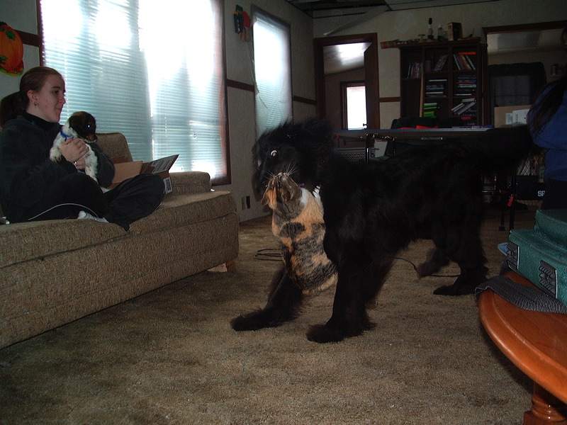imgp0970.jpg