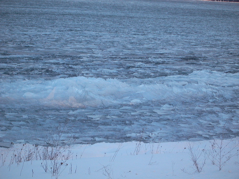 imgp0974.jpg