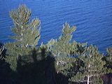 imgp0886