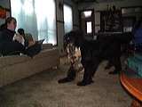 imgp0970