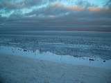 imgp0973