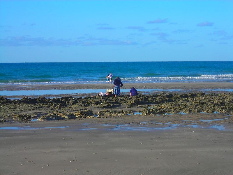 dscn2175.jpg