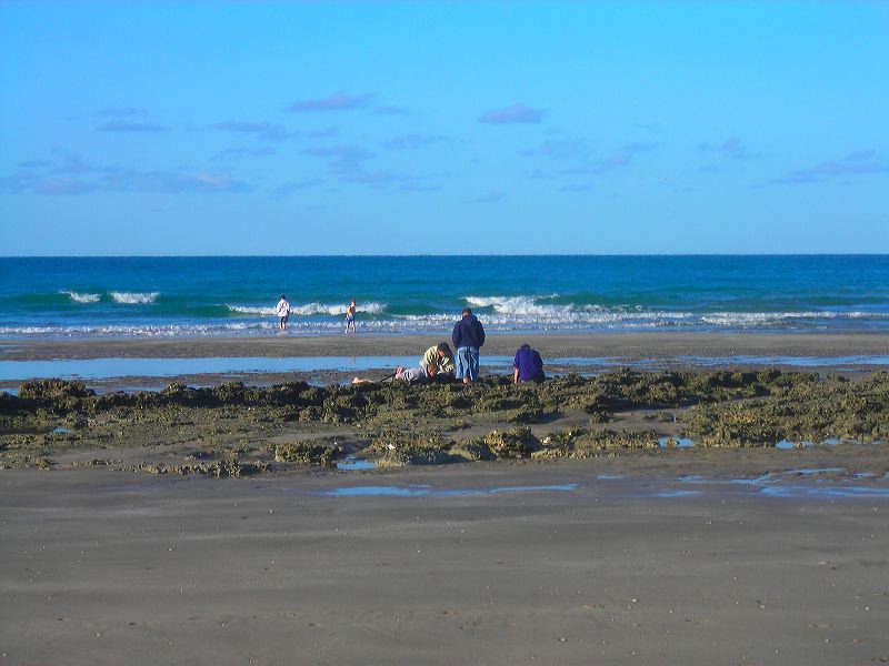 dscn2176.jpg