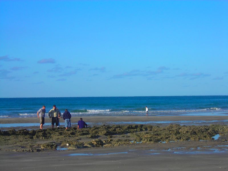 dscn2177.jpg