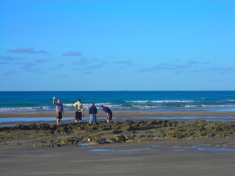 dscn2178.jpg