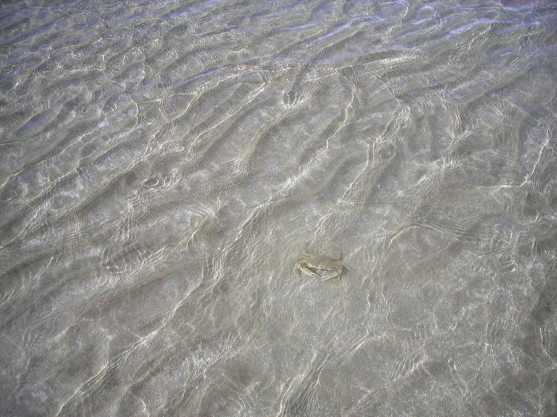 dscn2201.jpg