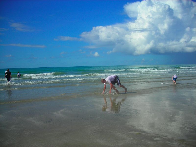 dscn2216.jpg