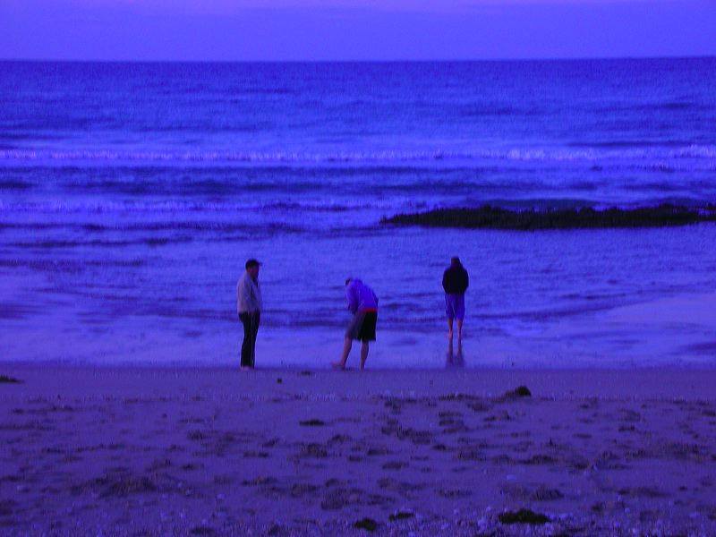 dscn2342.jpg
