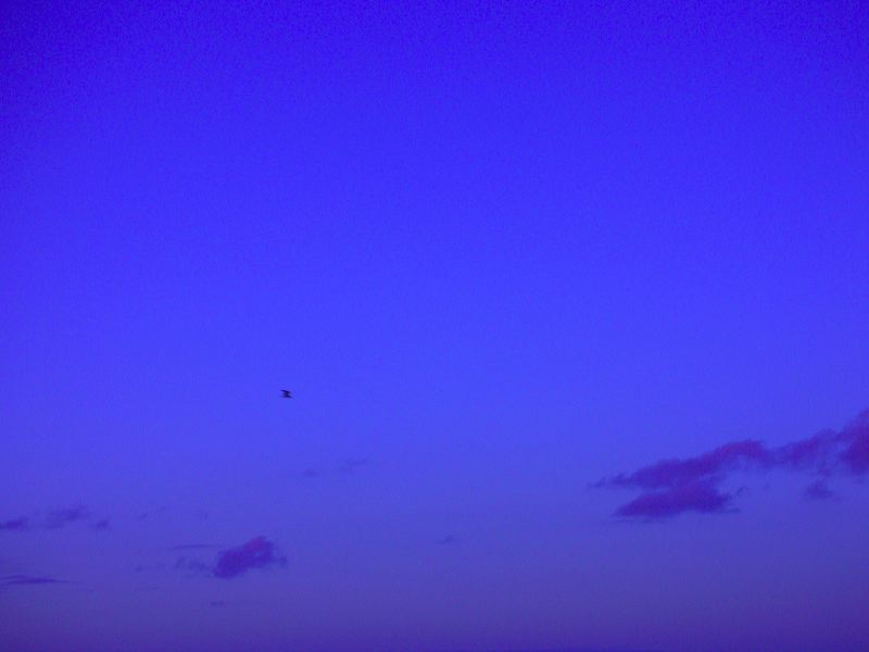 dscn2346.jpg