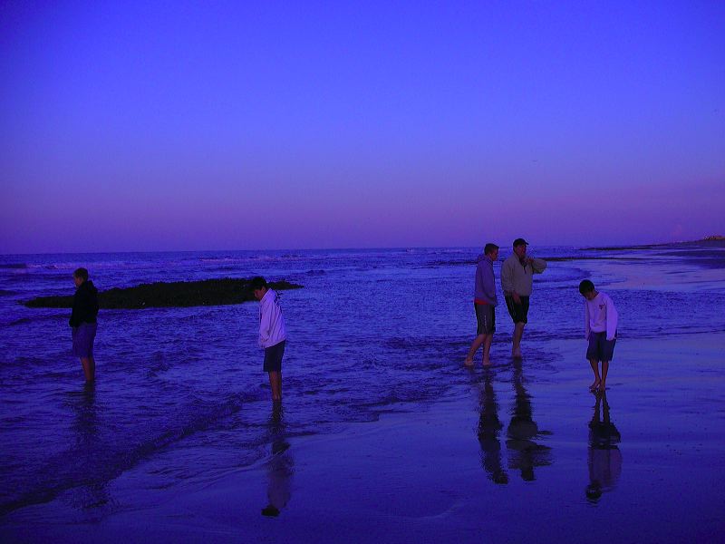 dscn2354.jpg