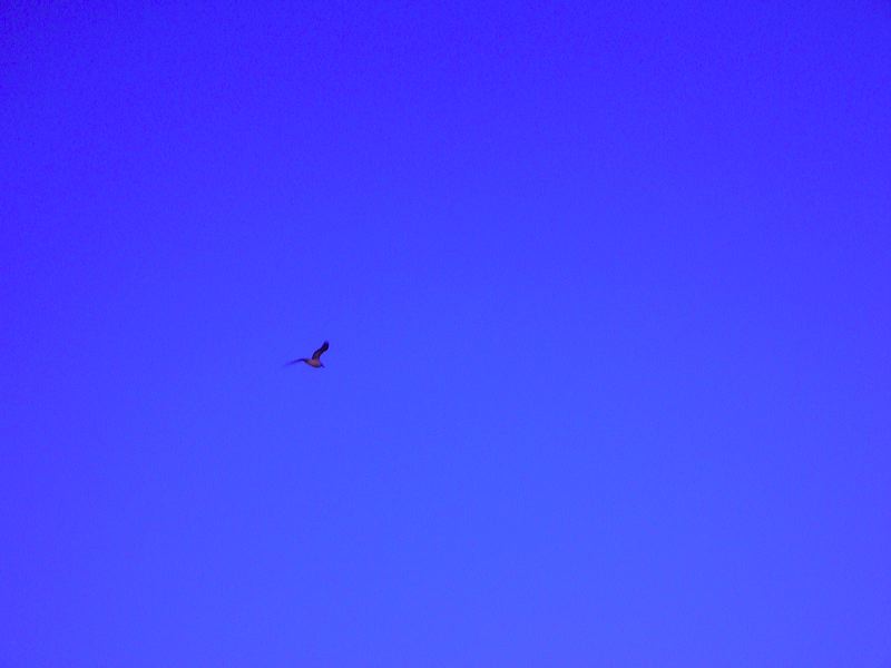 dscn2357.jpg