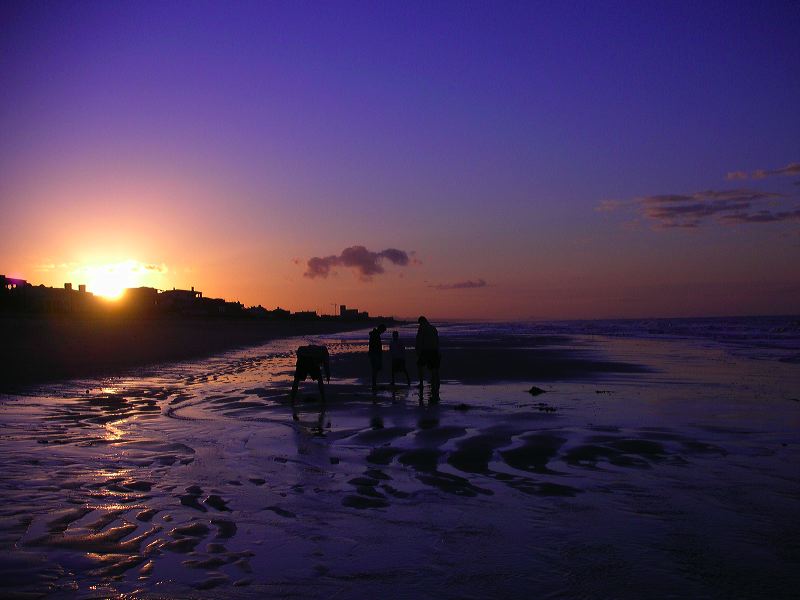 dscn2360.jpg