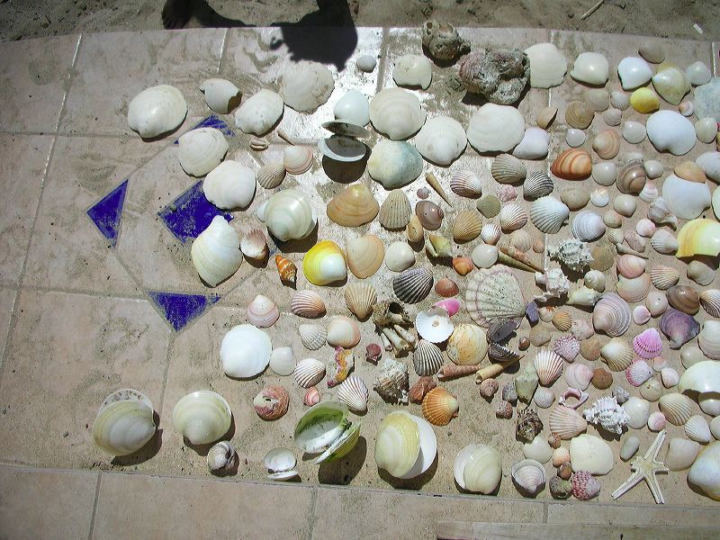 dscn2376.jpg