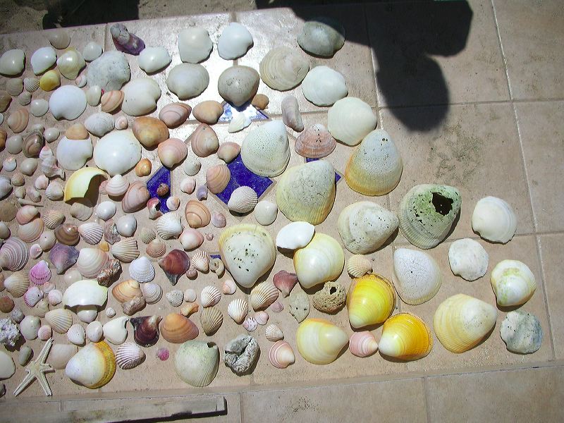 dscn2378.jpg