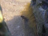 dscn2180