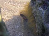 dscn2181
