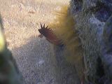 dscn2182