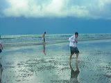 dscn2206
