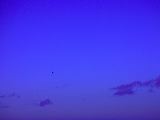 dscn2346