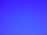 dscn2357