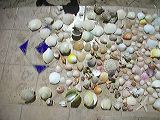 dscn2376