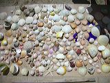 dscn2377