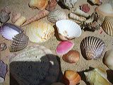 dscn2382