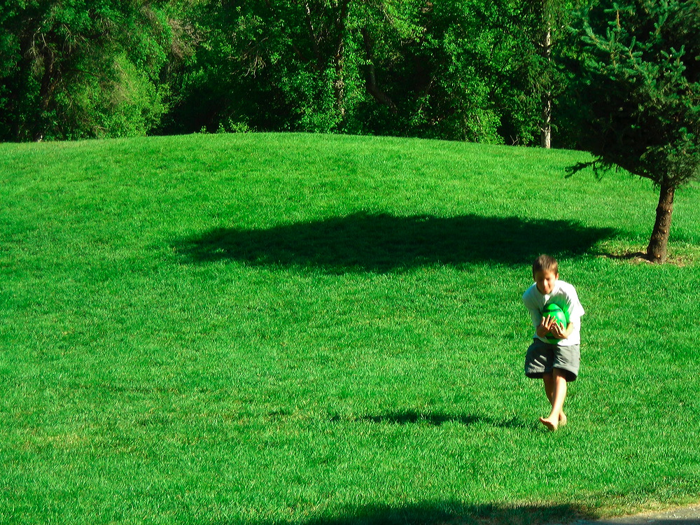 dscn2509.jpg