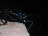 dscn2548