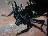 dscn2552