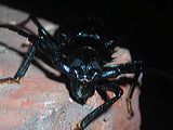 dscn2553
