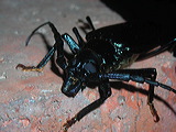 dscn2554