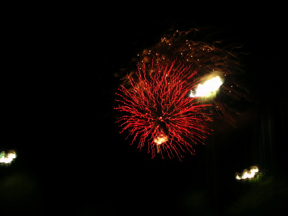 dscn2755.jpg
