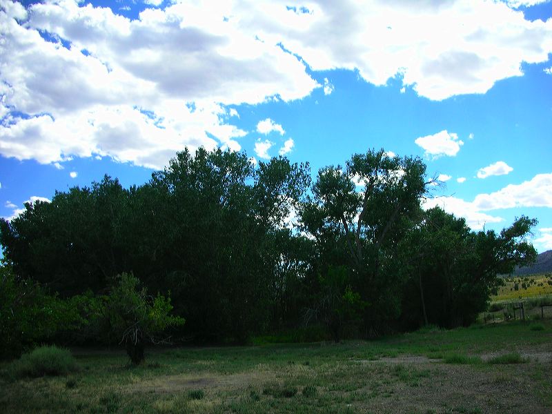 dscn1315.jpg