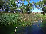 dscn1310