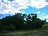 dscn1315