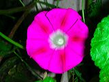 dscn1331