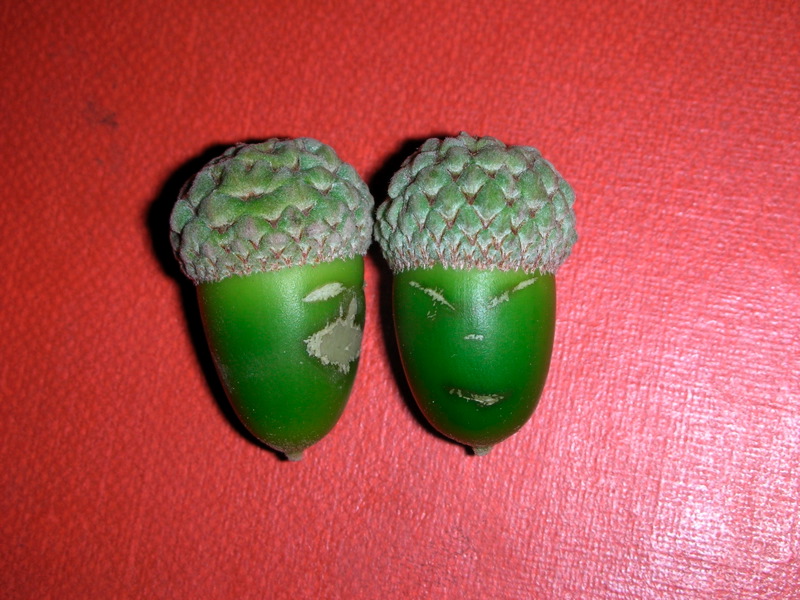 dscn1323.jpg