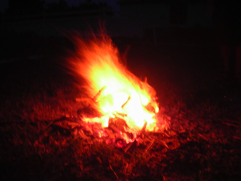 dscn0546.jpg