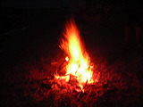dscn0545
