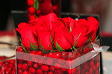 _mg_0601