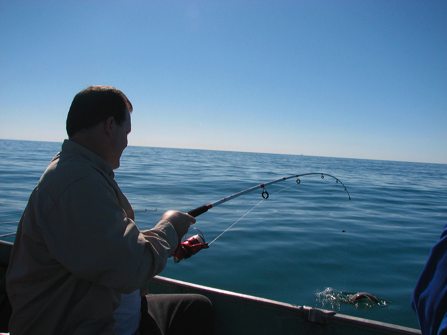 img_0477.jpg