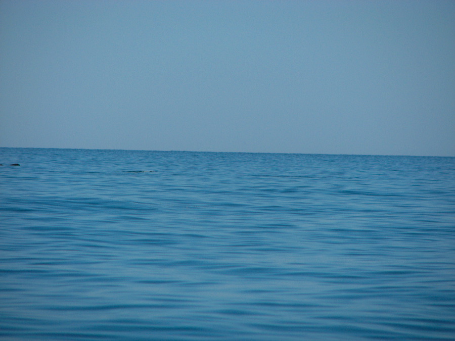 img_0490.jpg