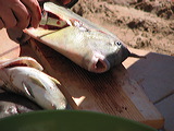 img_0509