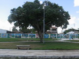 mvi_0883